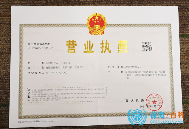 外资公司营业执照