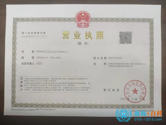 内资公司营业执照