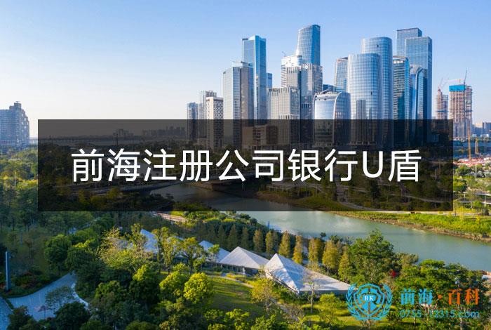 前海成立公司银行u盾