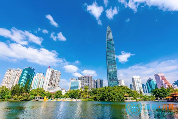 深圳注册公司，有哪些公司类型可选择