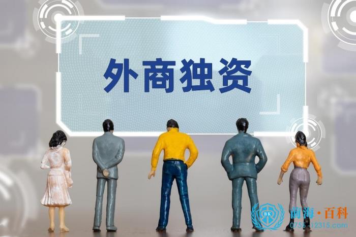 外商独资企业 外商独资企业