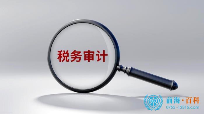 税审